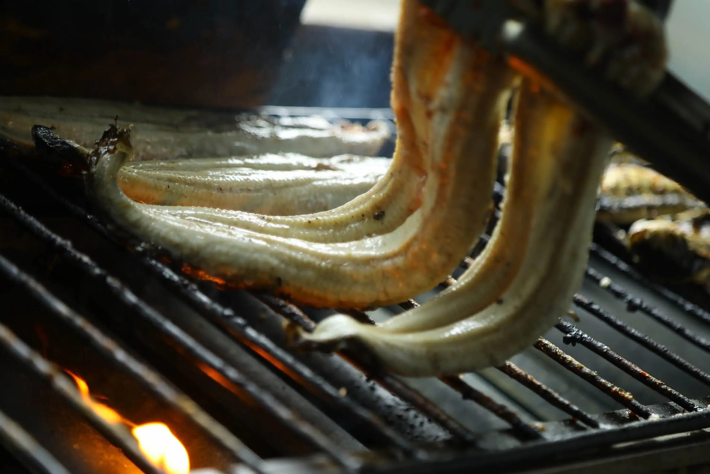 大隅の地が育んだ、唯一無二のうなぎを。画像